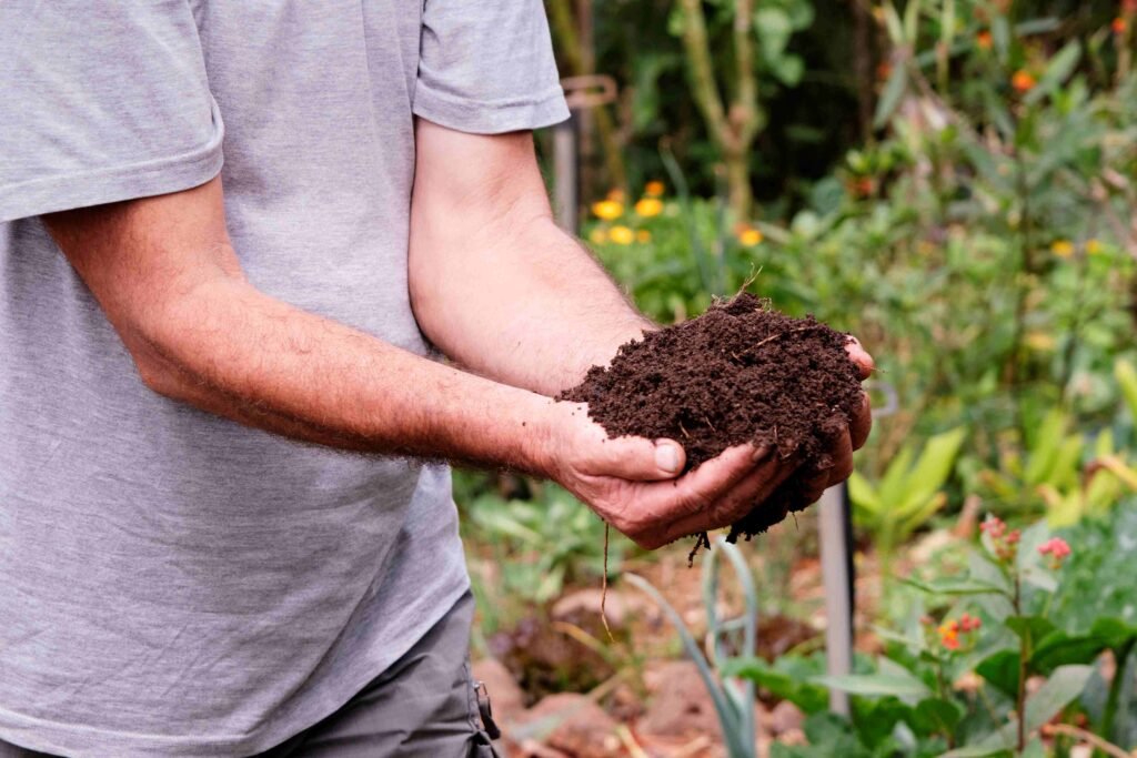 Imagen de unas manos para ilustrar el artículo sobre Cultiva Suelo de Foro Géiser